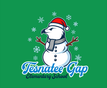 Load image into Gallery viewer, TGAP Christmas Falcon (Kelly Green)